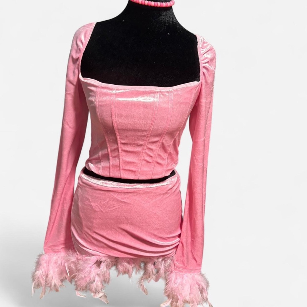Pink Feather Trim Long Sleeve Top and Skirt Set